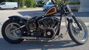 Harley-Davidson 1340 Custom (1989 - 98)  (2)