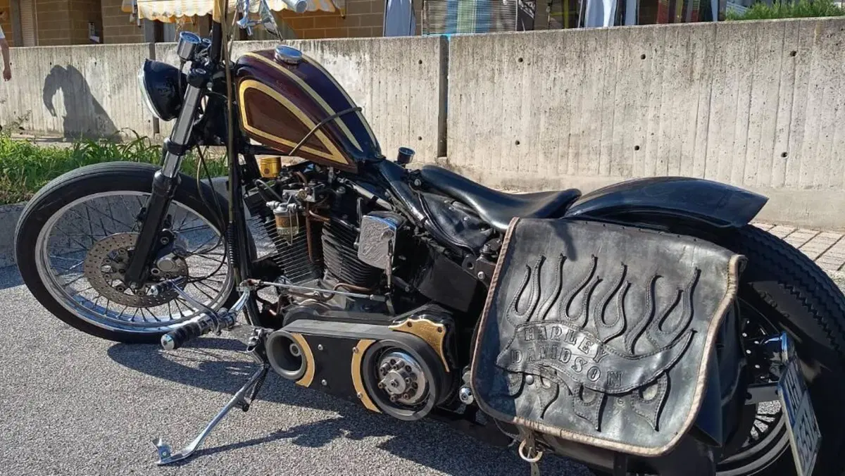 Harley-Davidson 1340 Custom (1989 - 98)  (3)