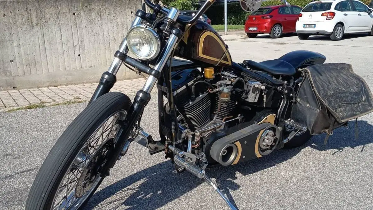 Harley-Davidson 1340 Custom (1989 - 98)  (4)