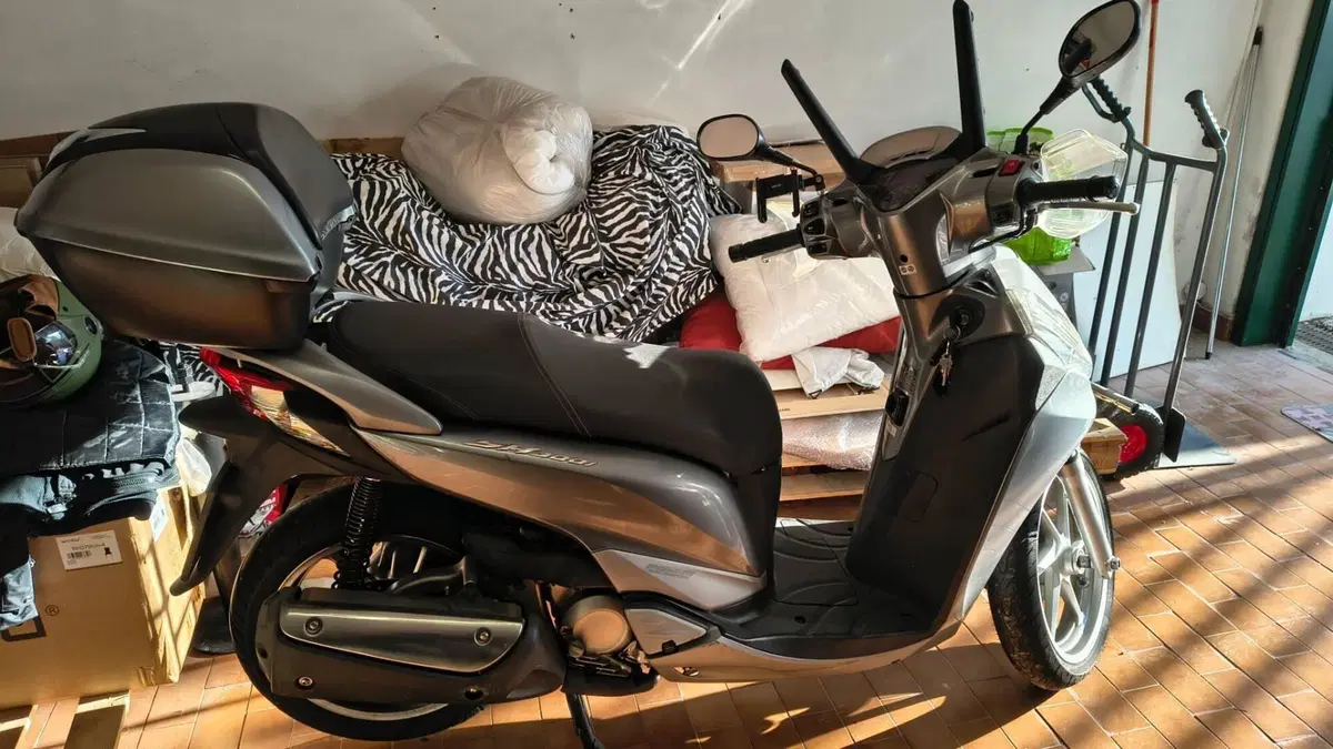 Honda SH 300 i ABS (2013 - 14)  (2)