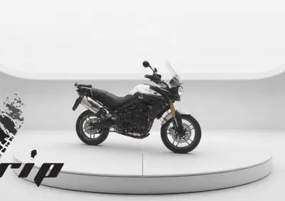 Triumph Tiger 800 (2010 - 14) - Annuncio 10110576