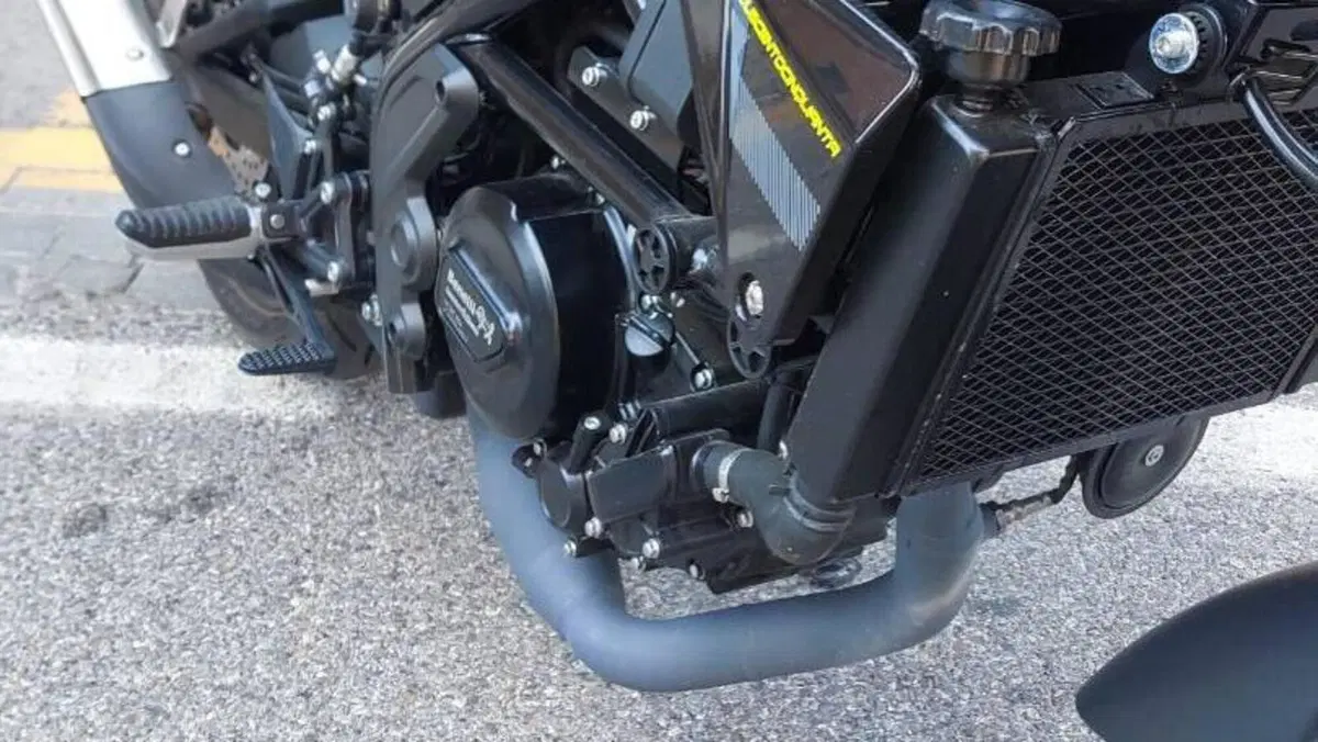 Benelli Leoncino 250 (2021 - 25)  (4)