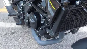 Benelli Leoncino 250 (2021 - 25)  (4)