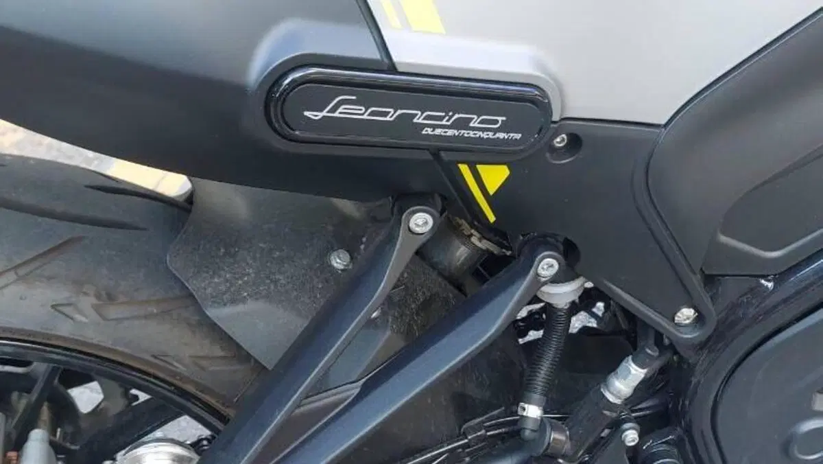 Benelli Leoncino 250 (2021 - 25)  (5)