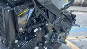 Benelli Leoncino 250 (2021 - 25)  (7)