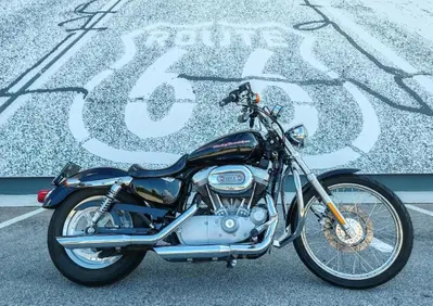Harley-Davidson 883 Custom (2001 - 05) - XL 53C - Annuncio 10110604