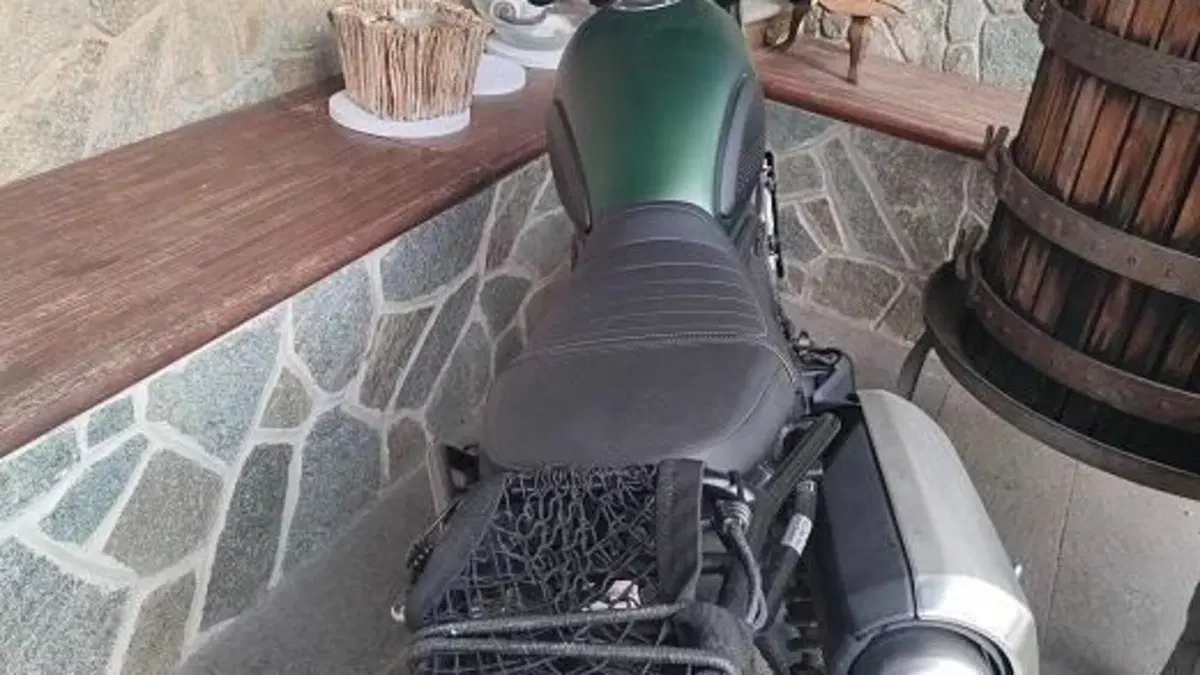 Honda CL500 (2023 - 24) 