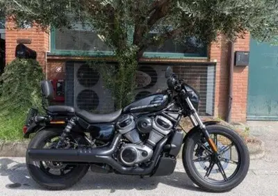 Harley-Davidson Nightster (2023 - 26) - Annuncio 10110649