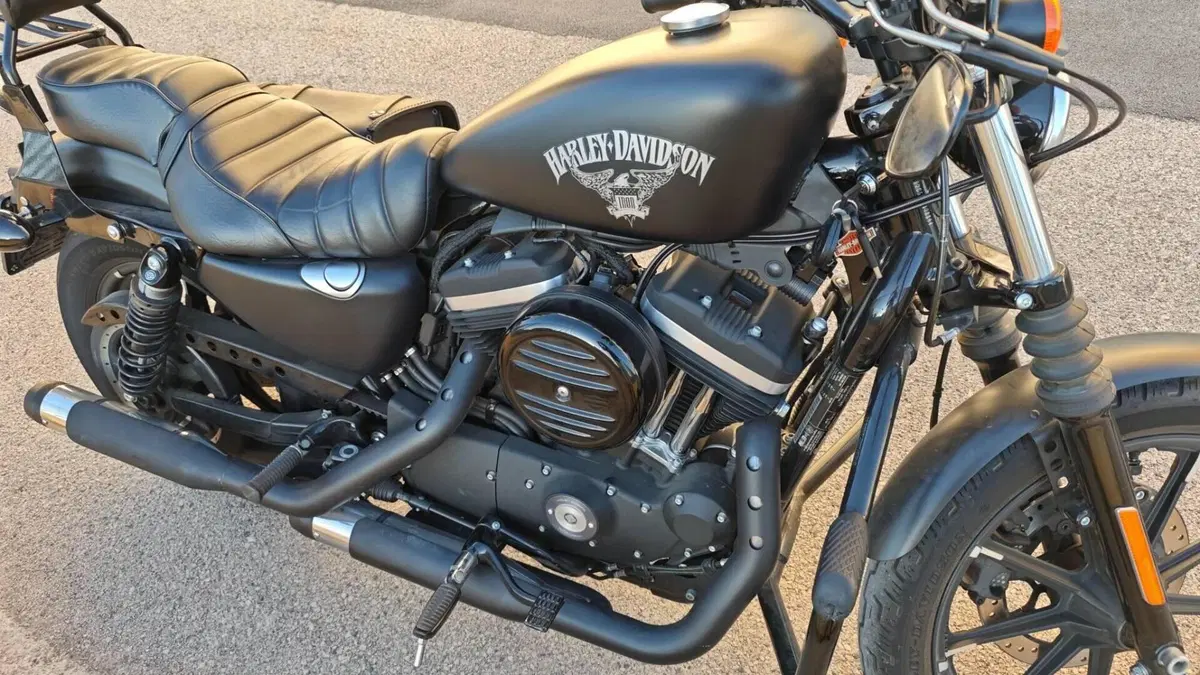 Harley-Davidson 883 Iron (2017 - 20) - XL 883N  (4)