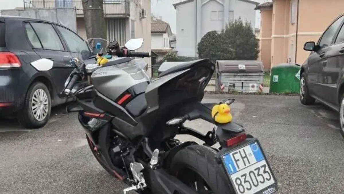 CFMOTO 450SR (2023 - 24)  (3)