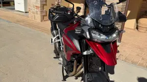 Triumph Tiger 1200 GT Pro (2024 - 26)  (3)