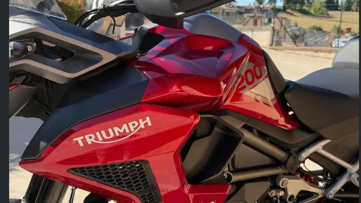 Triumph Tiger 1200 GT Pro (2024 - 26)  (11)