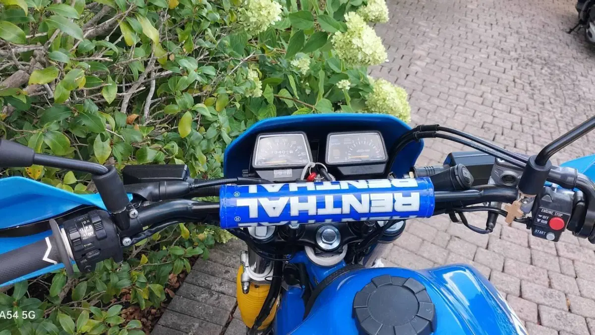 Yamaha   (5)