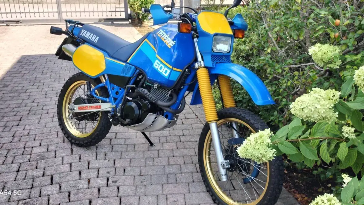 Yamaha   (6)