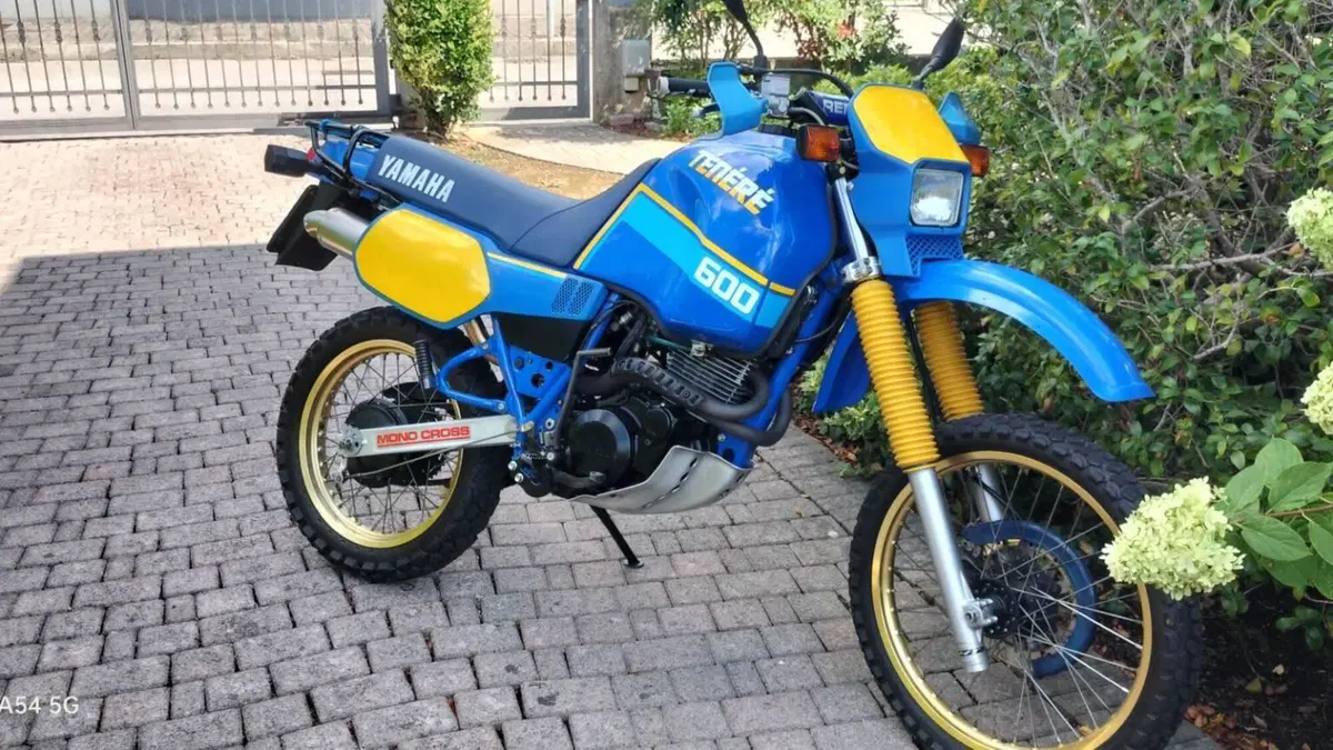 Yamaha   (9)