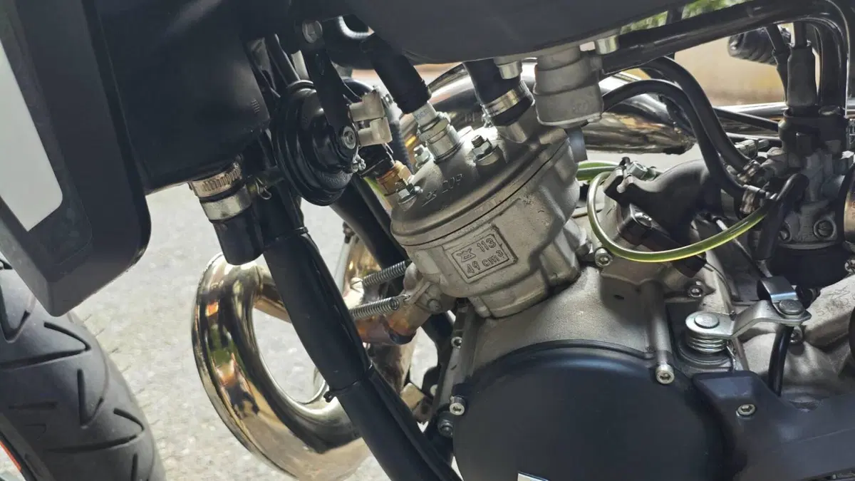 Betamotor RR 50 Motard (2021 - 26)  (9)