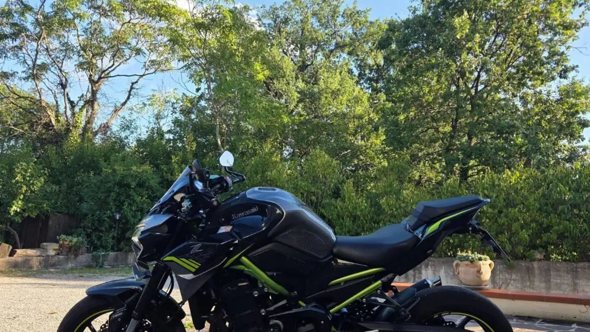 Kawasaki Z 900 (2020)  (2)