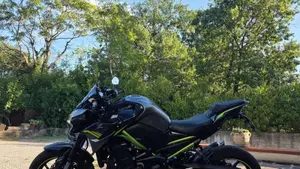 Kawasaki Z 900 (2020)  (2)
