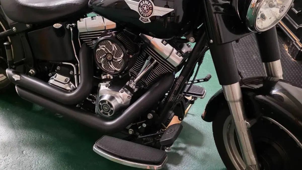 Harley-Davidson 1690 Fat Boy Special (2010 - 17) - FLSTF  (5)