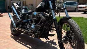 Harley-Davidson 1584 Blackline (2011 - 13) - FXS  (2)