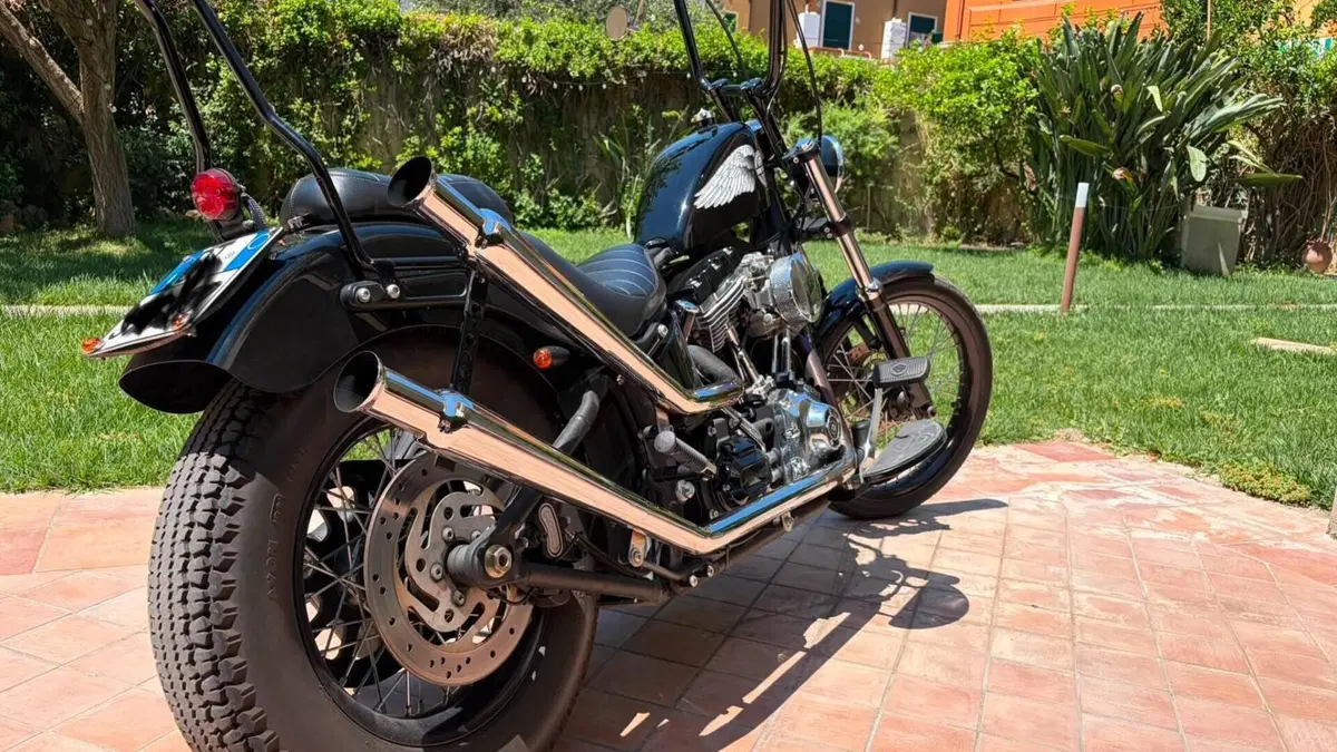 Harley-Davidson 1584 Blackline (2011 - 13) - FXS  (3)