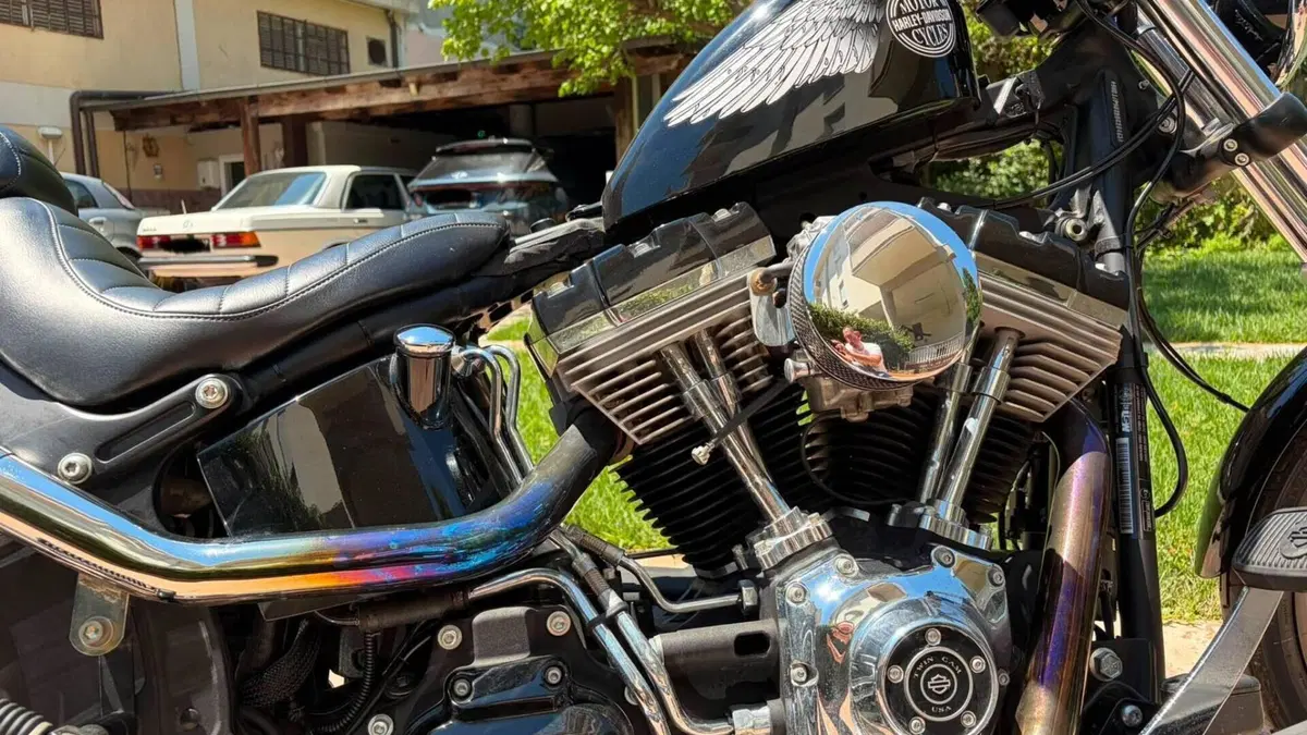 Harley-Davidson 1584 Blackline (2011 - 13) - FXS  (4)
