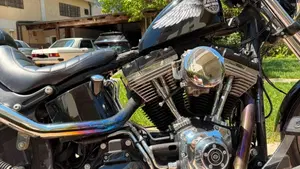 Harley-Davidson 1584 Blackline (2011 - 13) - FXS  (4)