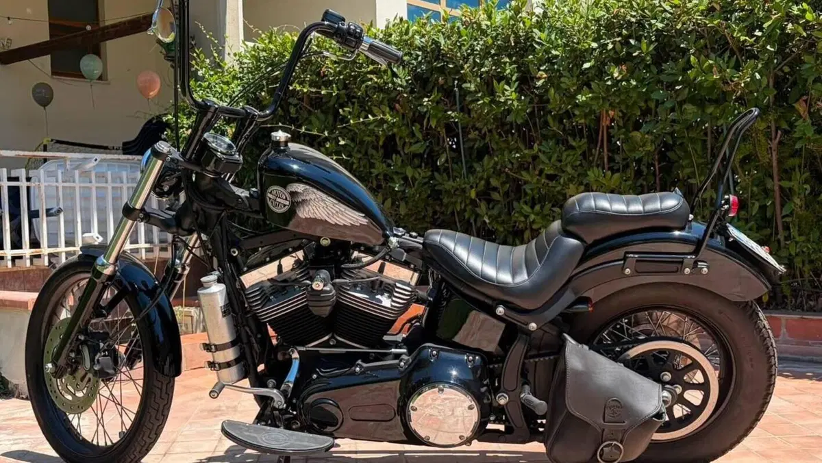 Harley-Davidson 1584 Blackline (2011 - 13) - FXS  (5)