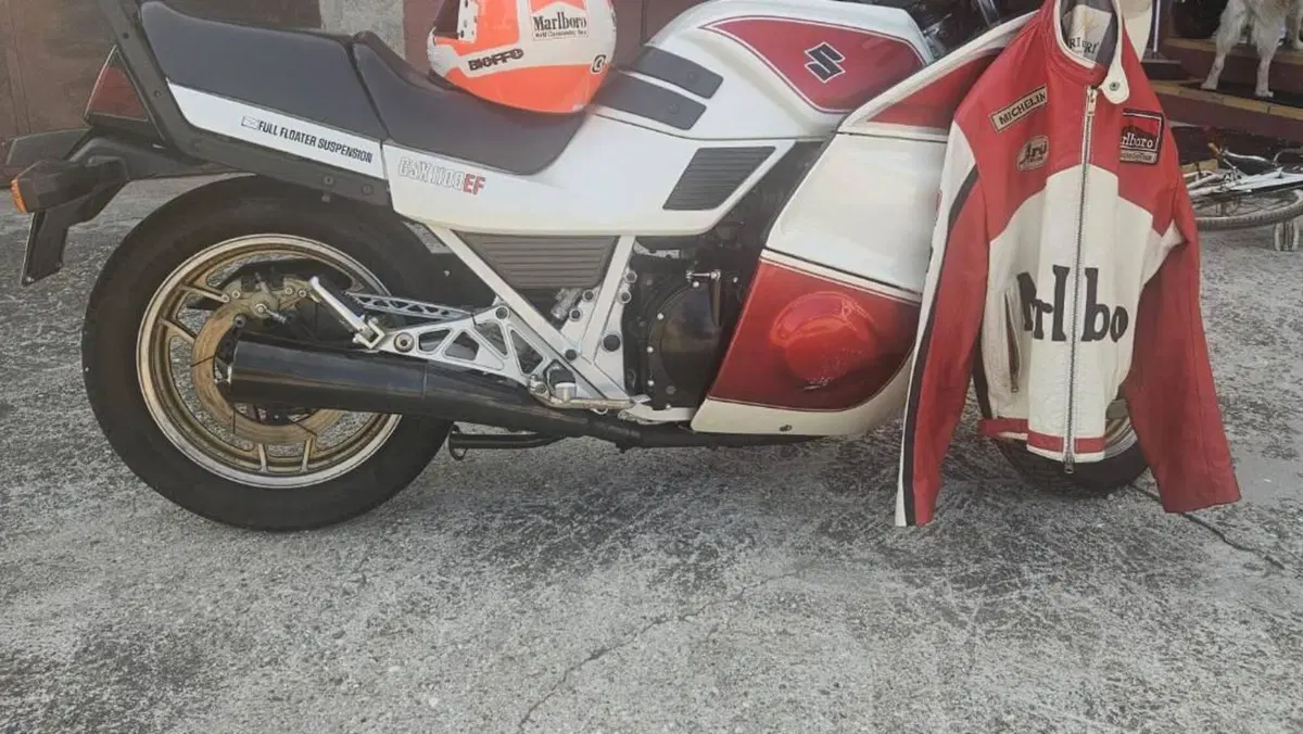 Suzuki   (3)