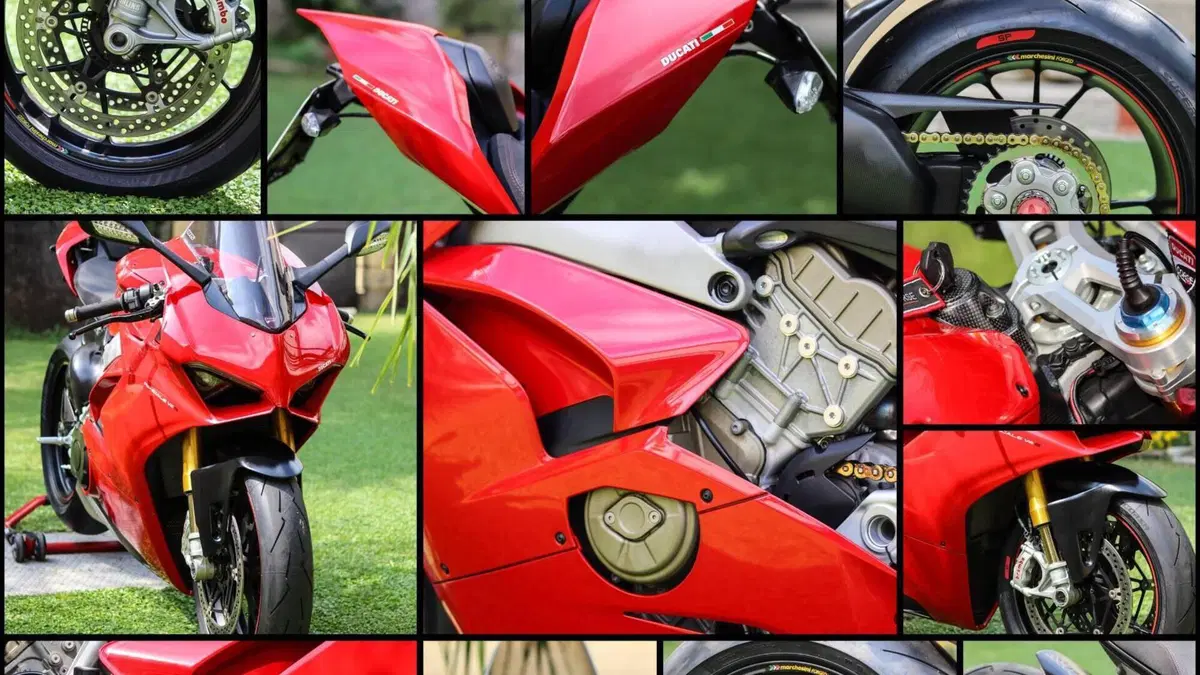 Ducati Panigale V4 S 1100 (2018 - 19)  (6)