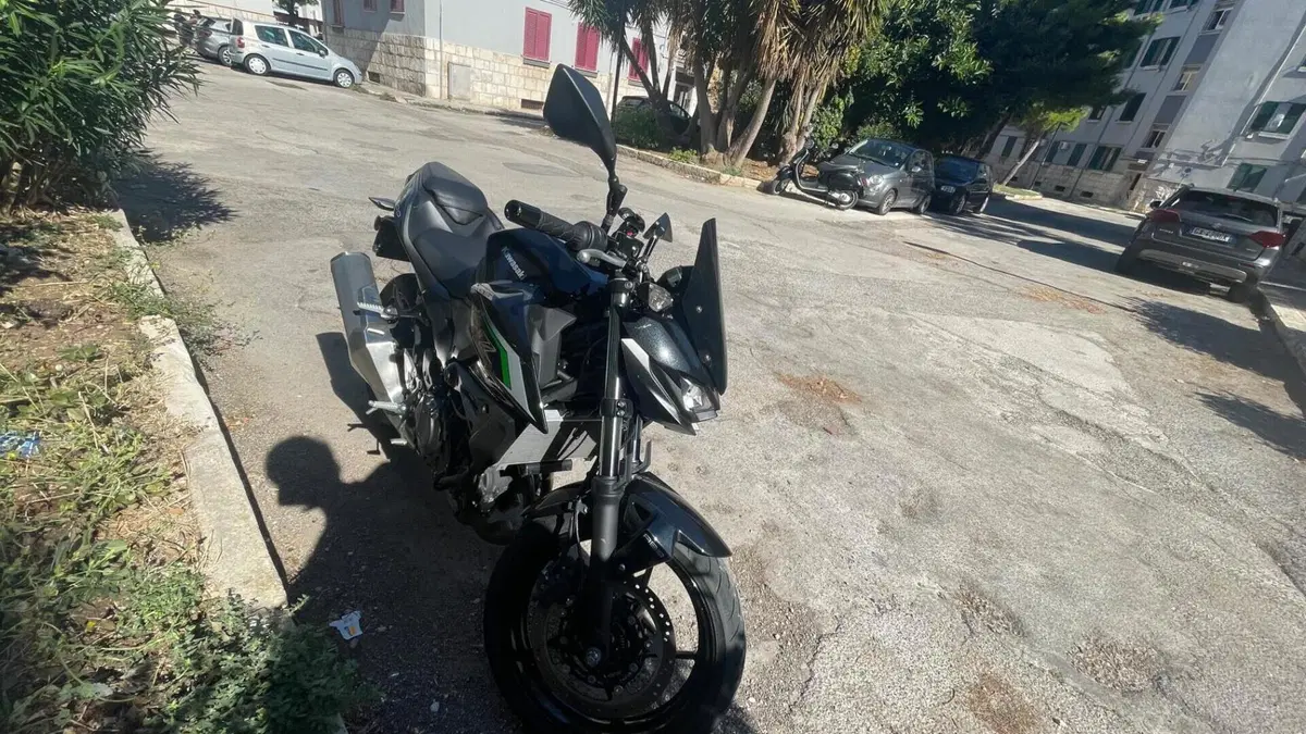 Kawasaki Z 500 (2024 - 26)  (2)