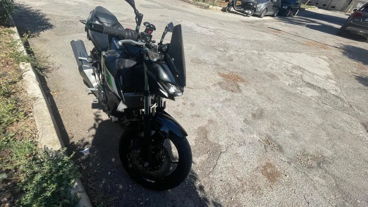 Kawasaki Z 500 (2024 - 26)  (3)