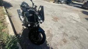 Kawasaki Z 500 (2024 - 26)  (3)