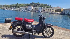 Honda Super Cub C125 (2022 - 26) 