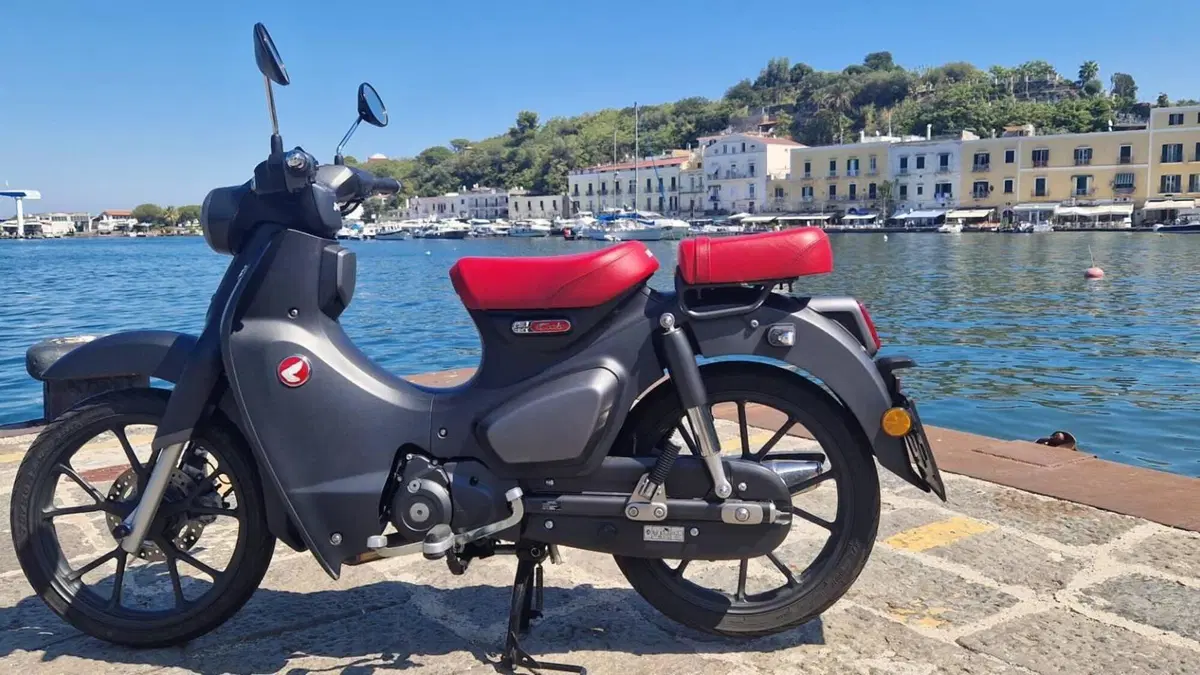 Honda Super Cub C125 (2022 - 26)  (2)