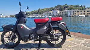 Honda Super Cub C125 (2022 - 26)  (2)