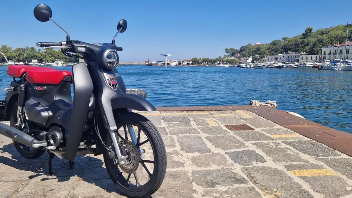 Honda Super Cub C125 (2022 - 26)  (5)