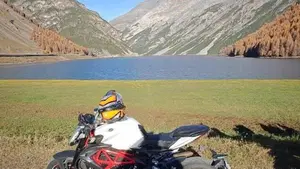 MV Agusta Brutale 800 EAS ABS (2016 - 19)  (8)
