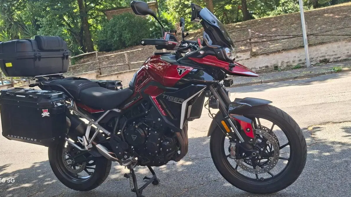 Triumph Tiger 900 GT (2024 - 26)  (8)