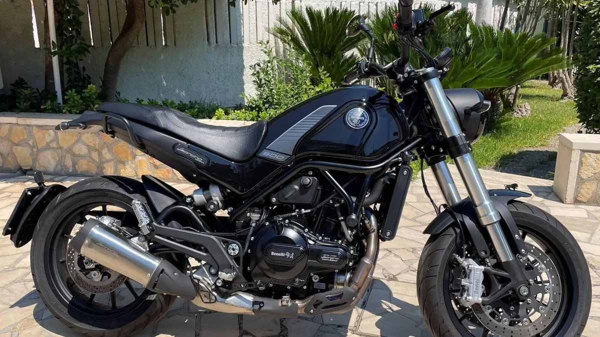 Benelli Leoncino 500 (2021 - 25) 