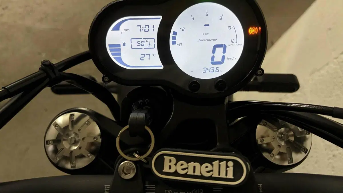 Benelli Leoncino 500 (2021 - 25)  (2)