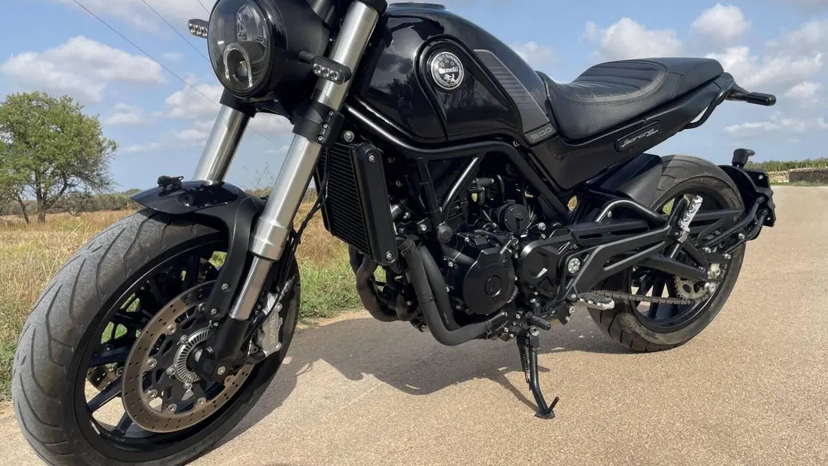 Benelli Leoncino 500 (2021 - 25)  (3)