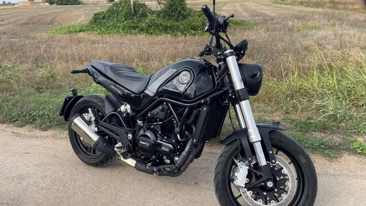 Benelli Leoncino 500 (2021 - 25)  (4)