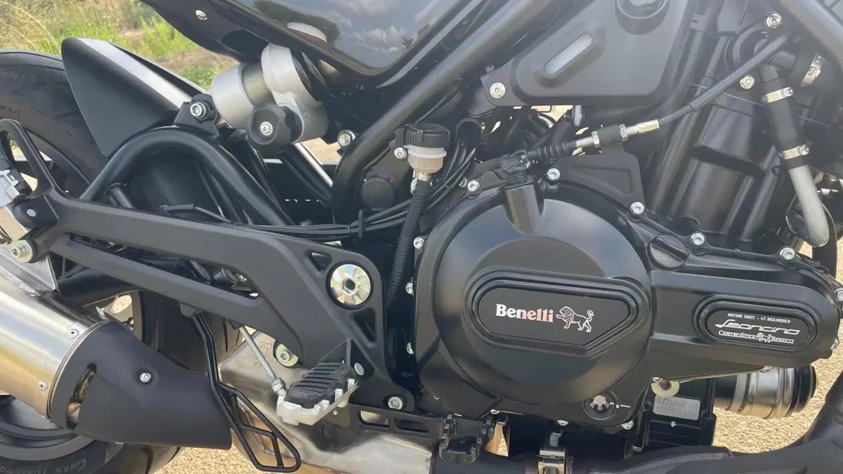 Benelli Leoncino 500 (2021 - 25)  (7)