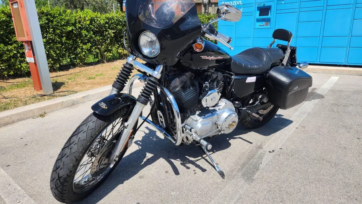 Harley-Davidson 883 (2006 - 07) - XL  (2)