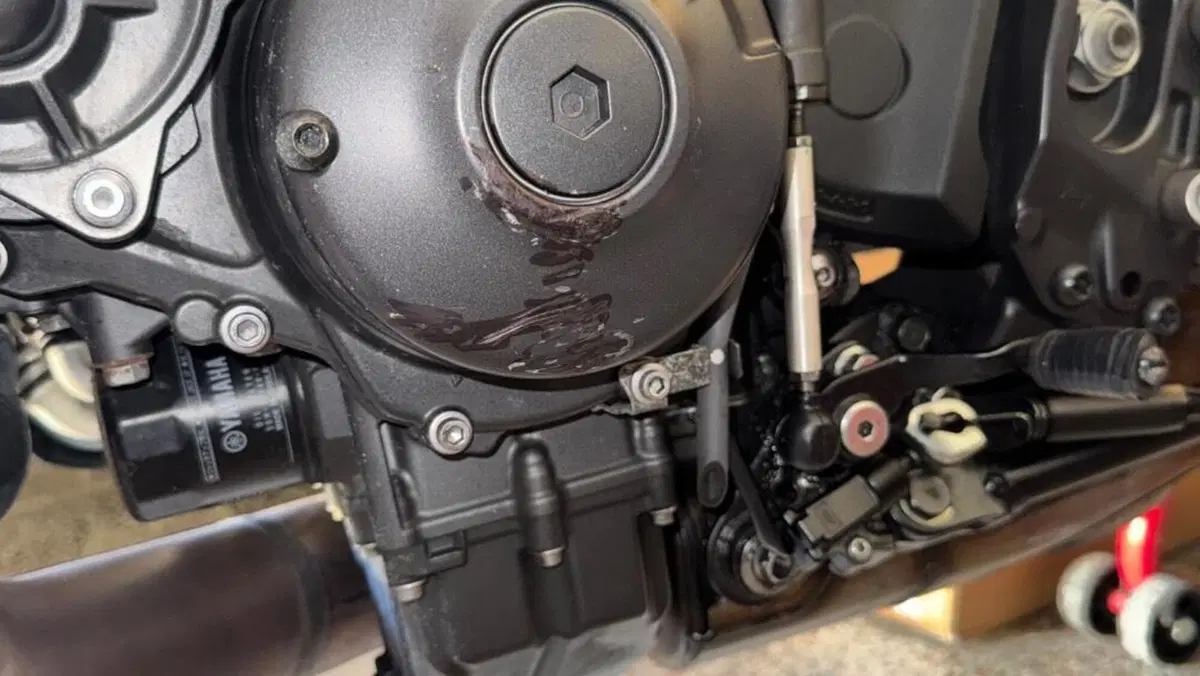 Yamaha MT-09 SP (2021 - 23)  (2)