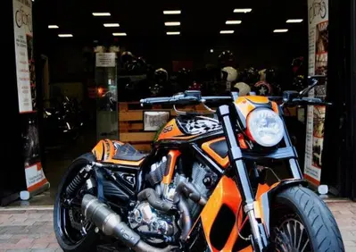 Harley-Davidson 1250 Night Rod Special (2008 - 17) - VRSCDX - Annuncio 10111196