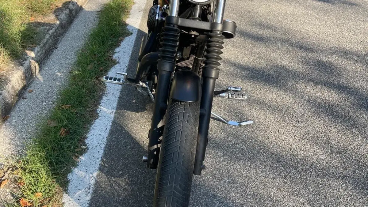Harley-Davidson 1200 Roadster (2006 - 08) - XL 1200R  (2)