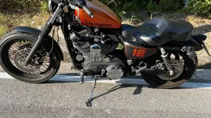 Harley-Davidson 1200 Roadster (2006 - 08) - XL 1200R  (3)