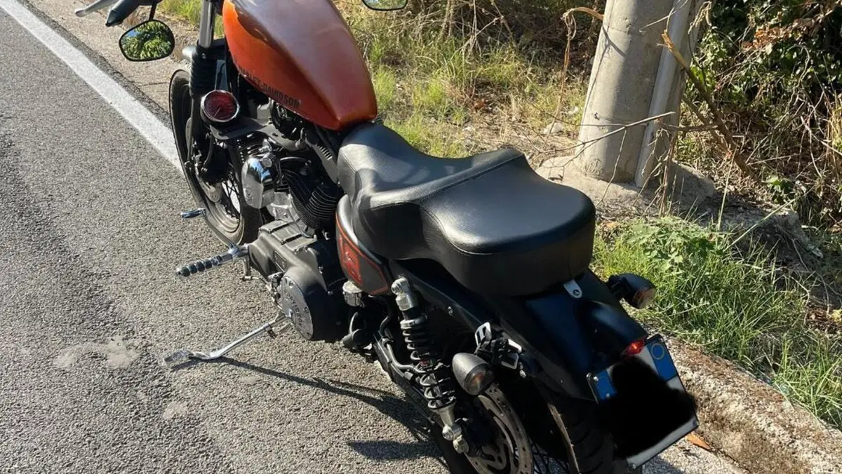 Harley-Davidson 1200 Roadster (2006 - 08) - XL 1200R  (4)